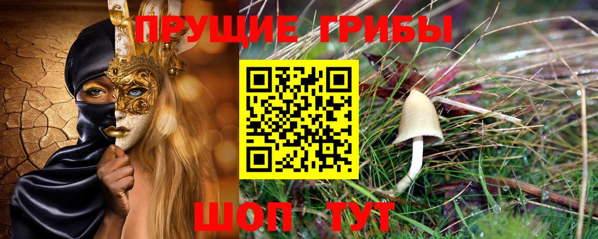 Галлюциногенные грибы прущие грибы  Галлюциногенные грибы Magic Shrooms  Рассказово  Вход с VPN 