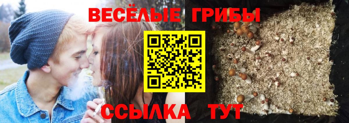 Галлюциногенные грибы MAGIC MUSHROOMS Рассказово
