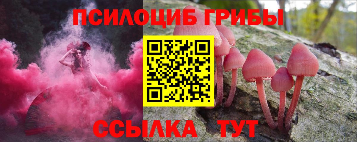 Каннабис  Вход с VPN  Рассказово  Мефедрон   Бошки Шишки 