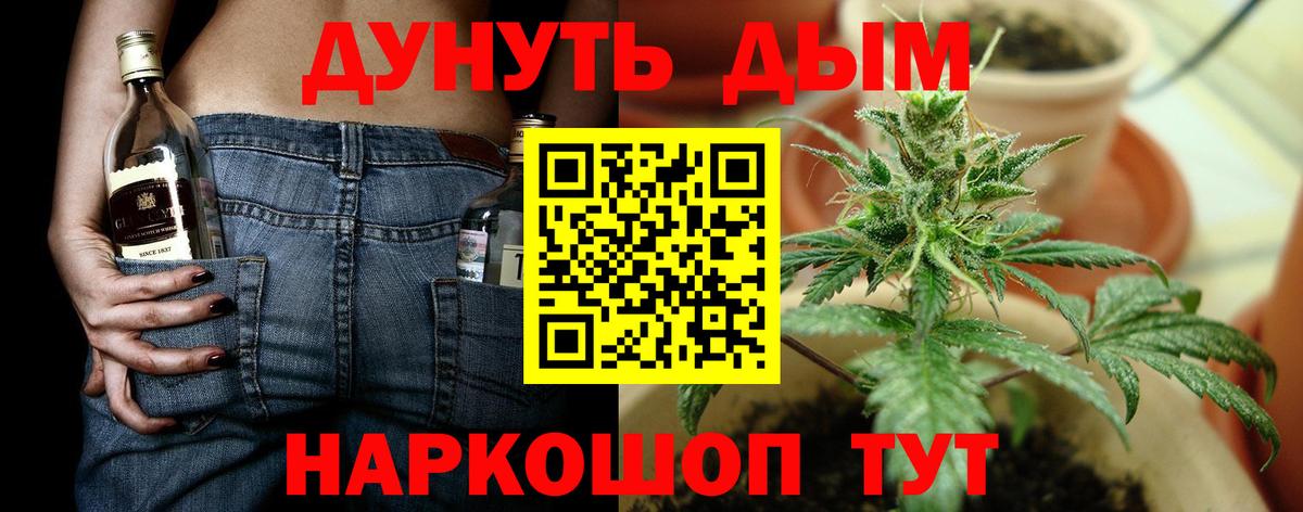 Бошки марихуана конопля  МАРИХУАНА конопля  Рассказово  Вход с VPN 